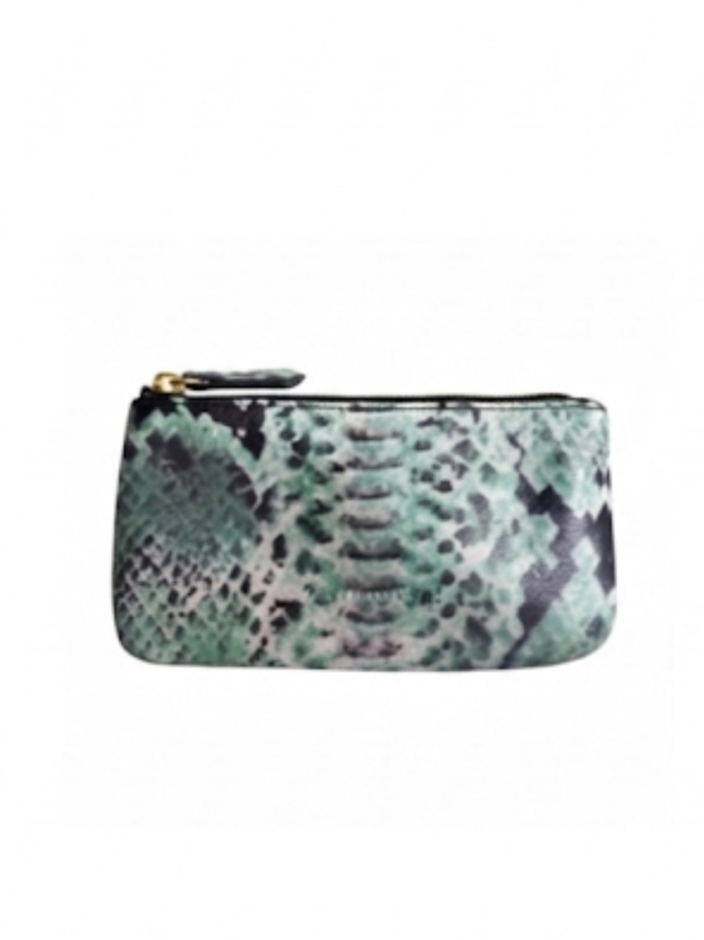 Aimee Kestenberg Leather Zippered Pouch With Turquoise/Green Snake Print New!